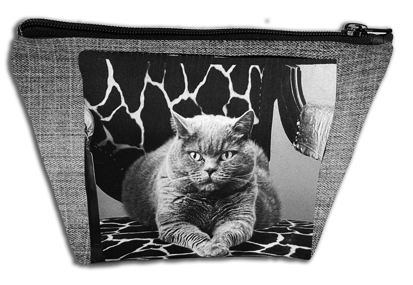 06 Pochette con sfondo