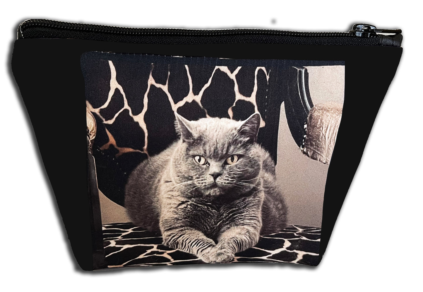 06 Pochette con sfondo